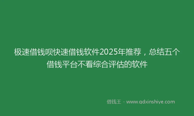 极速借钱呗快速借钱软件2025年推荐，总结五个借钱平台不看综合评估的软件