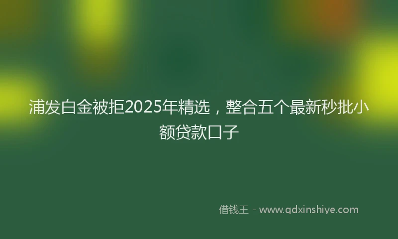 浦发白金被拒2025年精选，整合五个最新秒批小额贷款口子