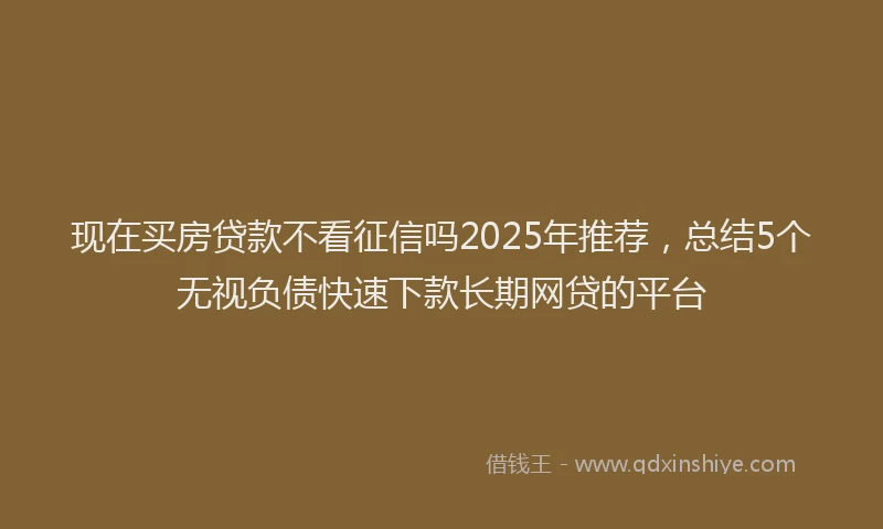 现在买房贷款不看征信吗2025年推荐，总结5个无视负债快速下款长期网贷的平台