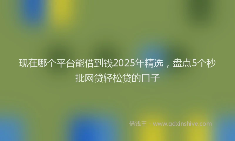 现在哪个平台能借到钱2025年精选，盘点5个秒批网贷轻松贷的口子