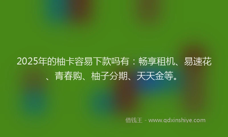 2025年的柚卡容易下款吗有：畅享租机、易速花、青春购、柚子分期、天天金等。