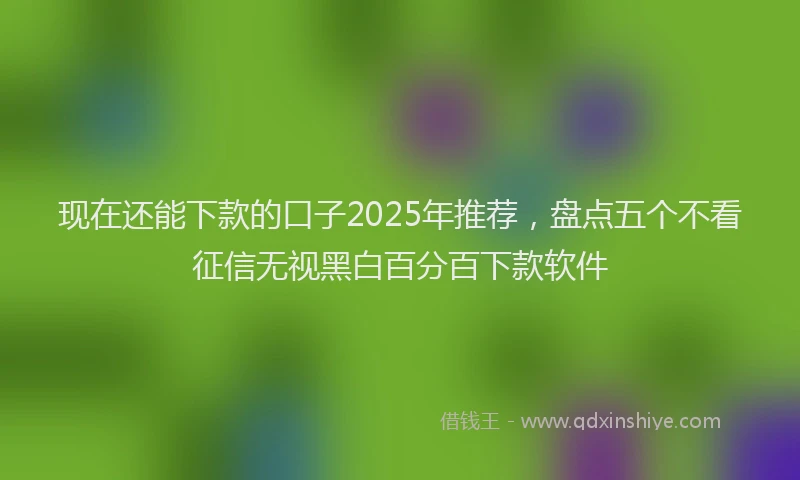 现在还能下款的口子2025年推荐，盘点五个不看征信无视黑白百分百下款软件
