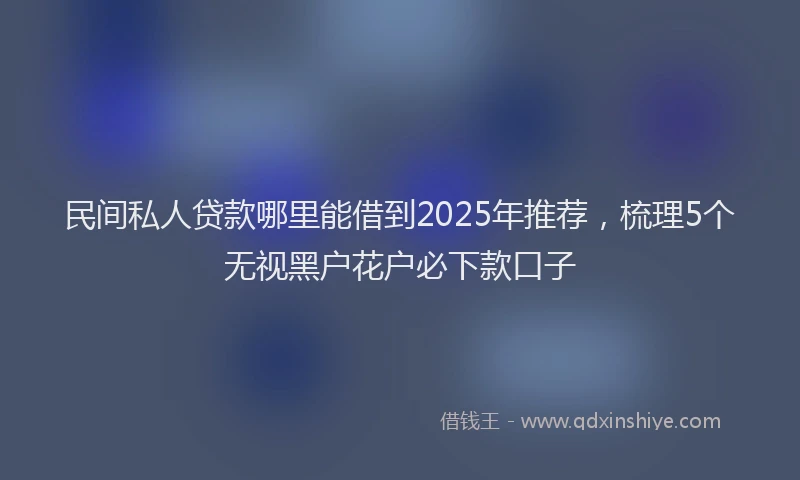 民间私人贷款哪里能借到2025年推荐，梳理5个无视黑户花户必下款口子