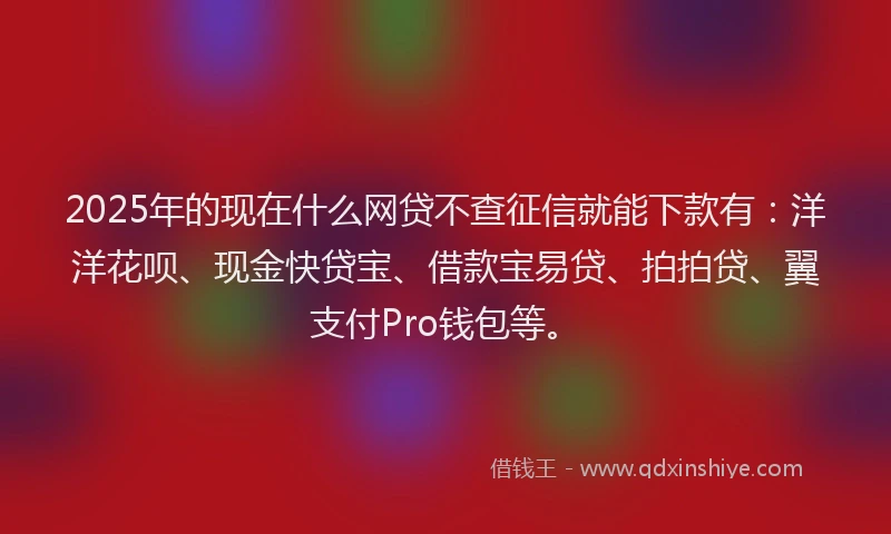 2025年的现在什么网贷不查征信就能下款有：洋洋花呗、现金快贷宝、借款宝易贷、拍拍贷、翼支付Pro钱包等。