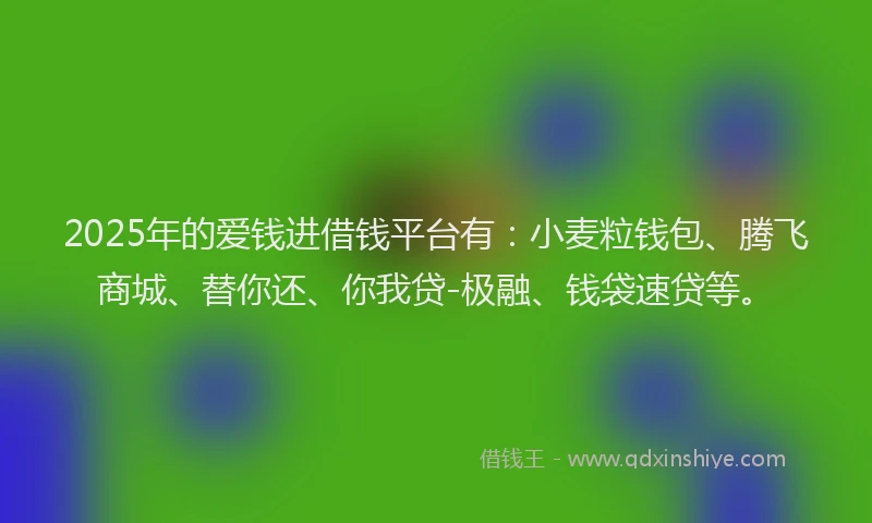 2025年的爱钱进借钱平台有：小麦粒钱包、腾飞商城、替你还、你我贷-极融、钱袋速贷等。