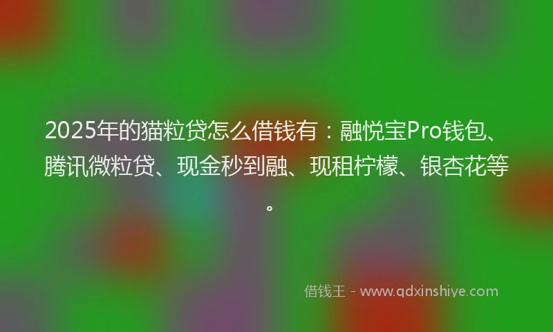 2025年的猫粒贷怎么借钱有：融悦宝Pro钱包、腾讯微粒贷、现金秒到融、现租柠檬、银杏花等。