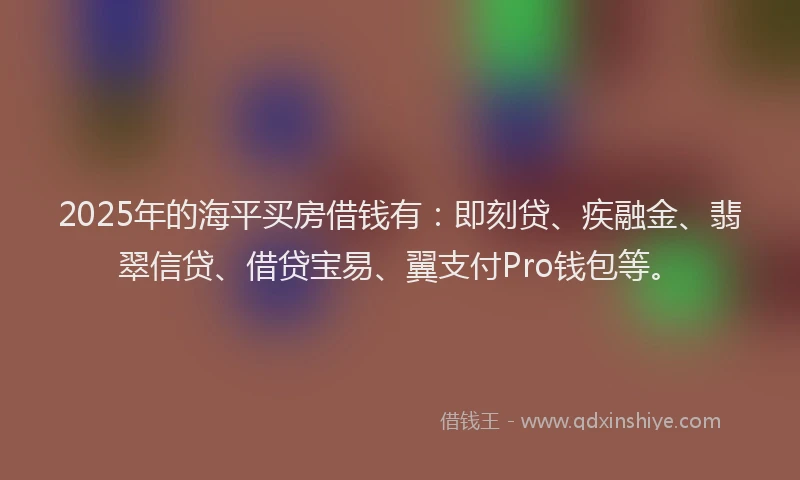 2025年的海平买房借钱有：即刻贷、疾融金、翡翠信贷、借贷宝易、翼支付Pro钱包等。