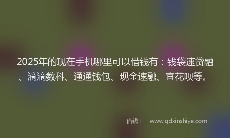 2025年的现在手机哪里可以借钱有：钱袋速贷融、滴滴数科、通通钱包、现金速融、宜花呗等。