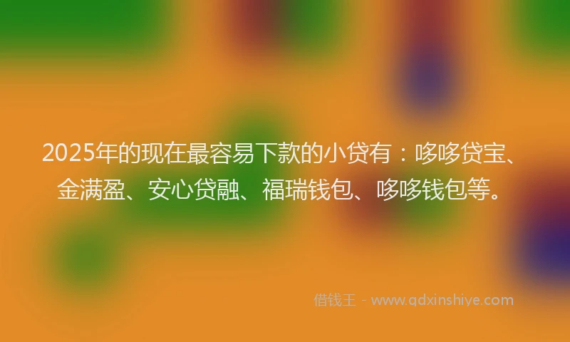 2025年的现在最容易下款的小贷有：哆哆贷宝、金满盈、安心贷融、福瑞钱包、哆哆钱包等。