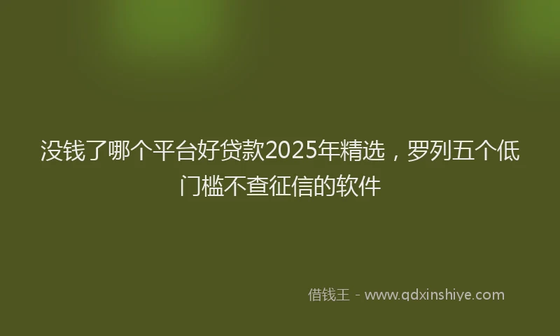 没钱了哪个平台好贷款2025年精选，罗列五个低门槛不查征信的软件