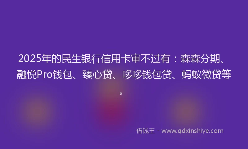 2025年的民生银行信用卡审不过有：森森分期、融悦Pro钱包、臻心贷、哆哆钱包贷、蚂蚁微贷等。