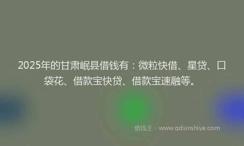 2025年的甘肃岷县借钱有：微粒快借、星贷、口袋花、借款宝快贷、借款宝速融等。