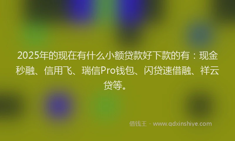 2025年的现在有什么小额贷款好下款的有：现金秒融、信用飞、瑞信Pro钱包、闪贷速借融、祥云贷等。
