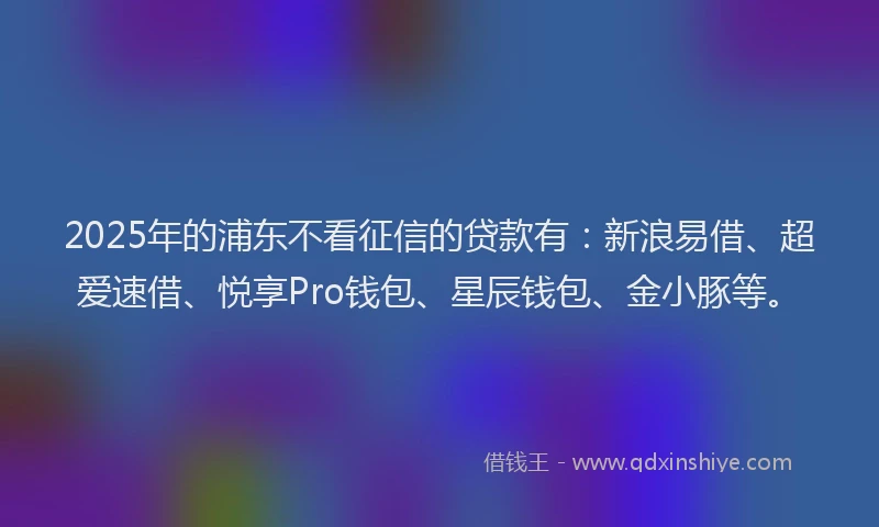 2025年的浦东不看征信的贷款有：新浪易借、超爱速借、悦享Pro钱包、星辰钱包、金小豚等。