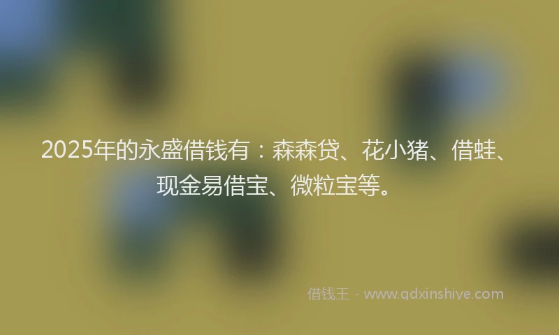 2025年的永盛借钱有：森森贷、花小猪、借蛙、现金易借宝、微粒宝等。