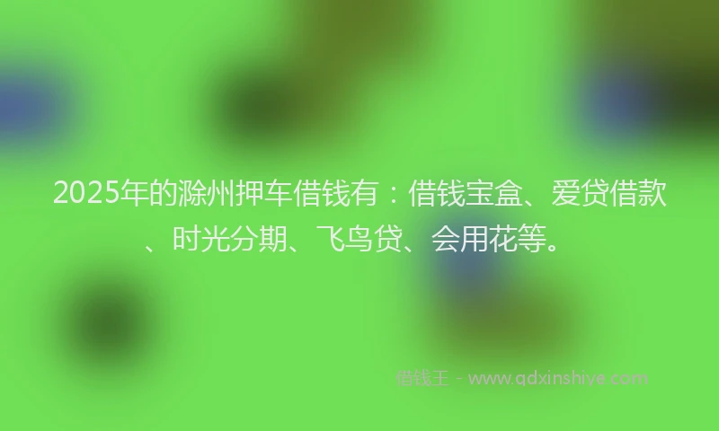 2025年的滁州押车借钱有：借钱宝盒、爱贷借款、时光分期、飞鸟贷、会用花等。