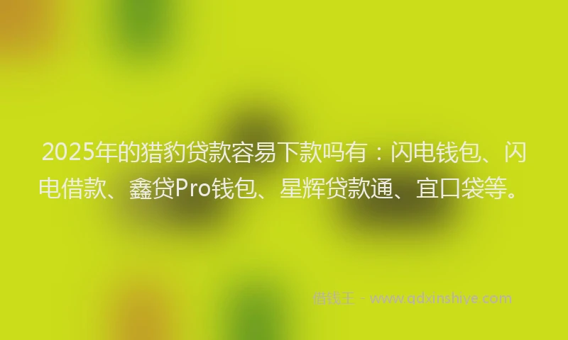 2025年的猎豹贷款容易下款吗有：闪电钱包、闪电借款、鑫贷Pro钱包、星辉贷款通、宜口袋等。