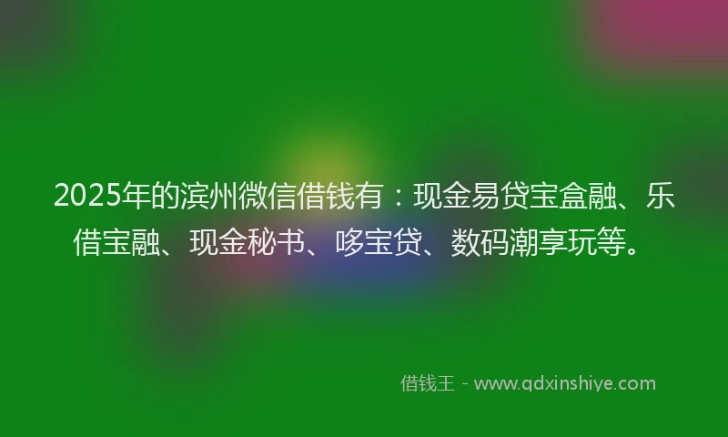 2025年的滨州微信借钱有：现金易贷宝盒融、乐借宝融、现金秘书、哆宝贷、数码潮享玩等。