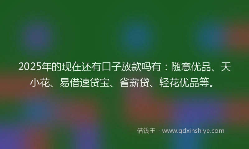 2025年的现在还有口子放款吗有：随意优品、天小花、易借速贷宝、省薪贷、轻花优品等。