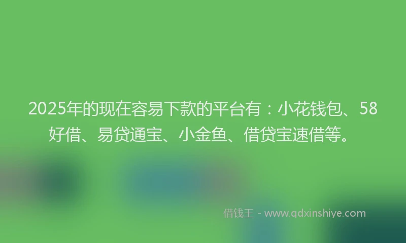 2025年的现在容易下款的平台有：小花钱包、58好借、易贷通宝、小金鱼、借贷宝速借等。