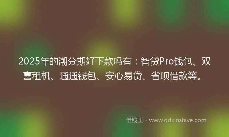 2025年的潮分期好下款吗有：智贷Pro钱包、双喜租机、通通钱包、安心易贷、省呗借款等。