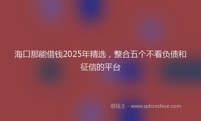 海口那能借钱2025年精选，整合五个不看负债和征信的平台