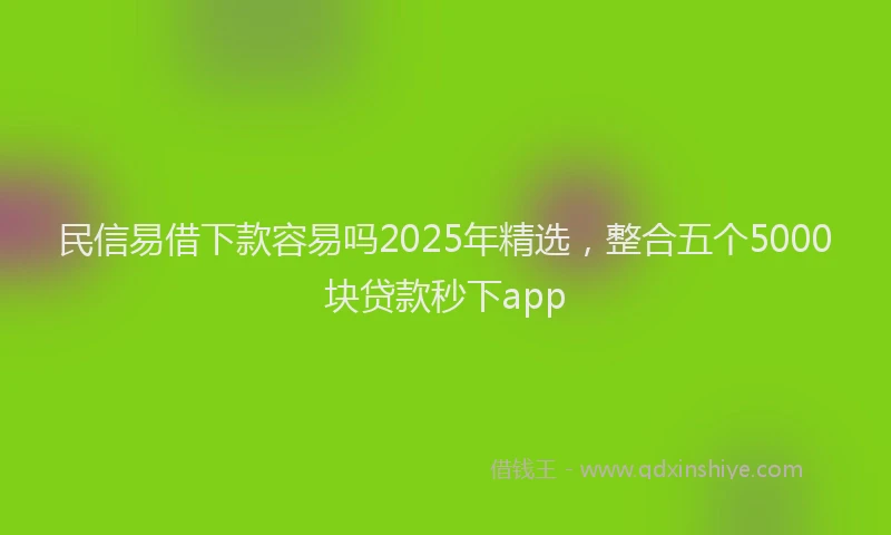 民信易借下款容易吗2025年精选，整合五个5000块贷款秒下app