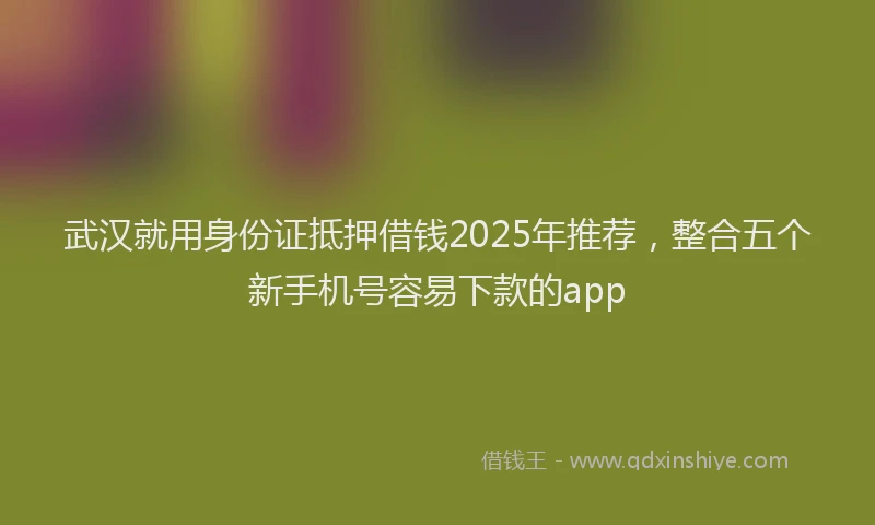 武汉就用身份证抵押借钱2025年推荐，整合五个新手机号容易下款的app