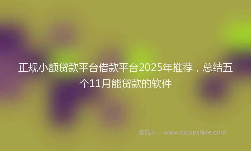 正规小额贷款平台借款平台2025年推荐，总结五个11月能贷款的软件