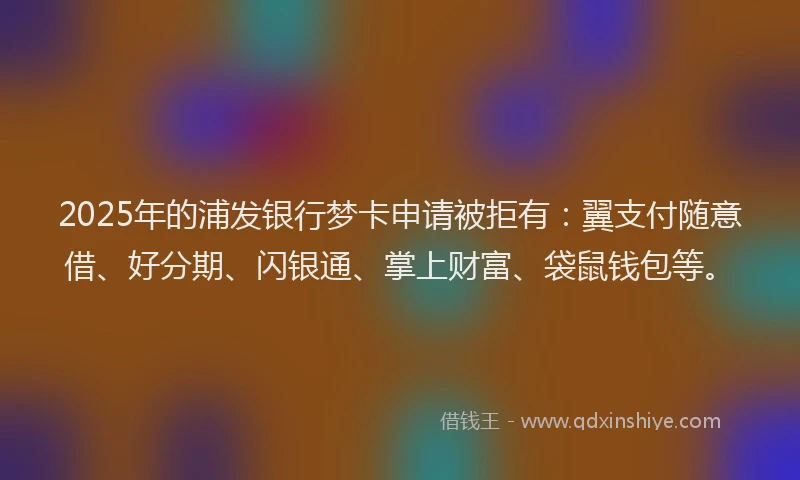 2025年的浦发银行梦卡申请被拒有：翼支付随意借、好分期、闪银通、掌上财富、袋鼠钱包等。