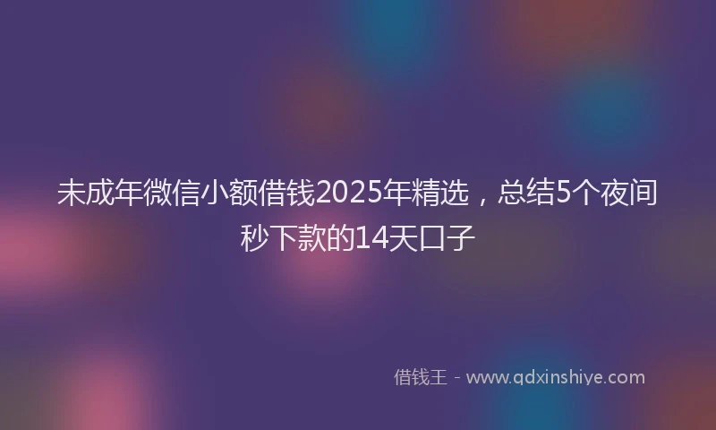 未成年微信小额借钱2025年精选，总结5个夜间秒下款的14天口子
