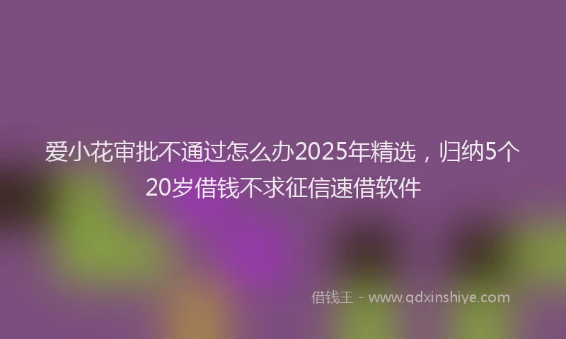 爱小花审批不通过怎么办2025年精选，归纳5个20岁借钱不求征信速借软件