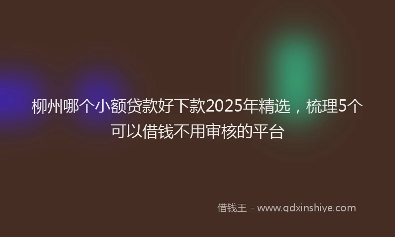 柳州哪个小额贷款好下款2025年精选，梳理5个可以借钱不用审核的平台