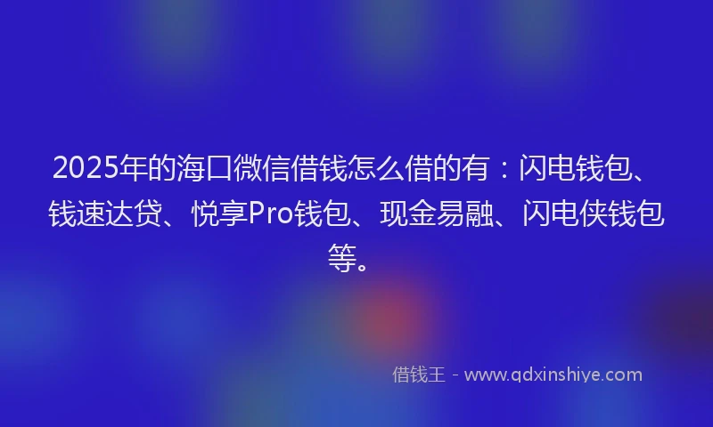 2025年的海口微信借钱怎么借的有：闪电钱包、钱速达贷、悦享Pro钱包、现金易融、闪电侠钱包等。