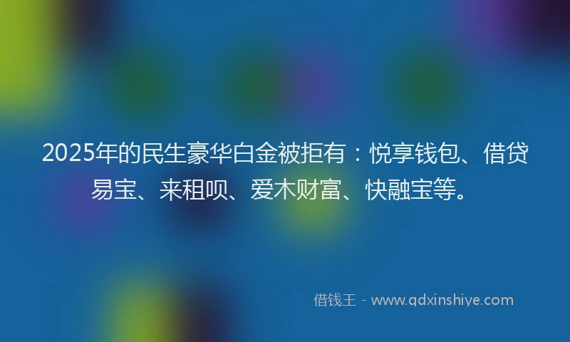 2025年的民生豪华白金被拒有：悦享钱包、借贷易宝、来租呗、爱木财富、快融宝等。