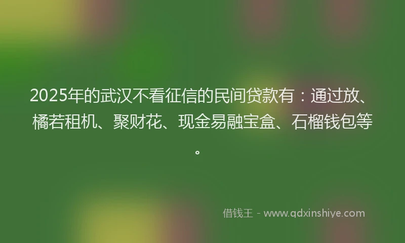 2025年的武汉不看征信的民间贷款有：通过放、橘若租机、聚财花、现金易融宝盒、石榴钱包等。