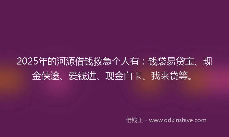 2025年的河源借钱救急个人有：钱袋易贷宝、现金侠途、爱钱进、现金白卡、我来贷等。