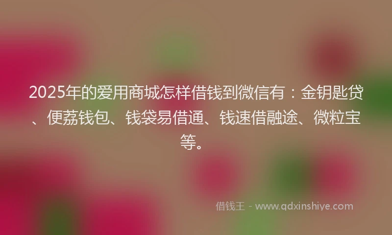 2025年的爱用商城怎样借钱到微信有：金钥匙贷、便荔钱包、钱袋易借通、钱速借融途、微粒宝等。