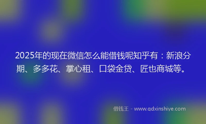 2025年的现在微信怎么能借钱呢知乎有：新浪分期、多多花、掌心租、口袋金贷、匠也商城等。