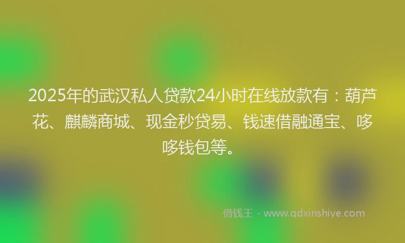 2025年的武汉私人贷款24小时在线放款有：葫芦花、麒麟商城、现金秒贷易、钱速借融通宝、哆哆钱包等。