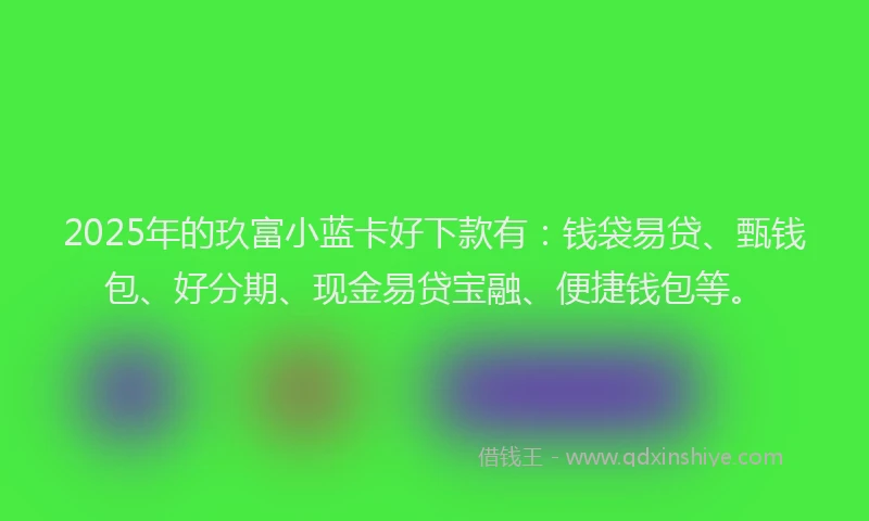 2025年的玖富小蓝卡好下款有：钱袋易贷、甄钱包、好分期、现金易贷宝融、便捷钱包等。