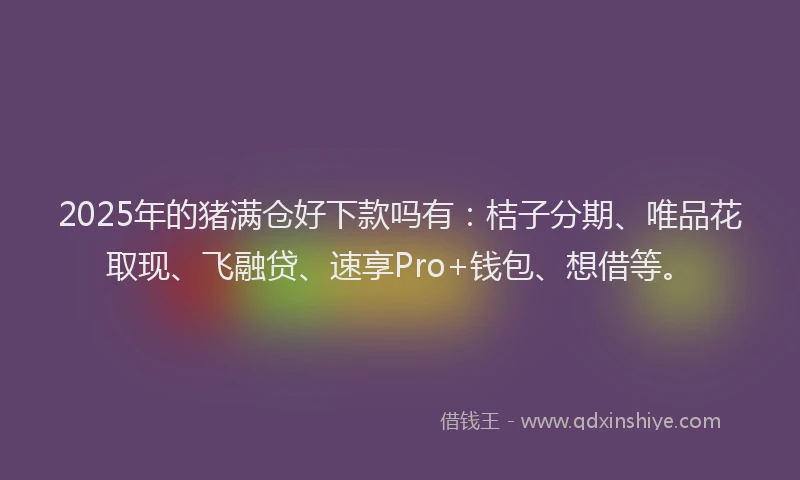 2025年的猪满仓好下款吗有：桔子分期、唯品花取现、飞融贷、速享Pro+钱包、想借等。