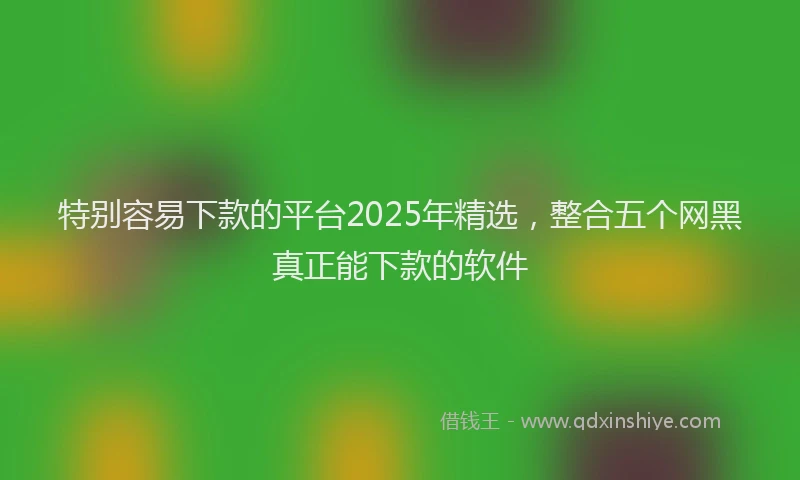 特别容易下款的平台2025年精选，整合五个网黑真正能下款的软件