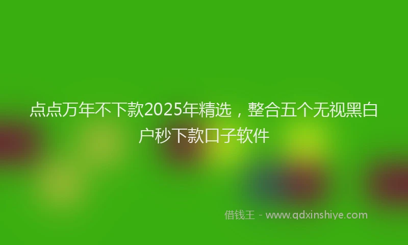 点点万年不下款2025年精选，整合五个无视黑白户秒下款口子软件
