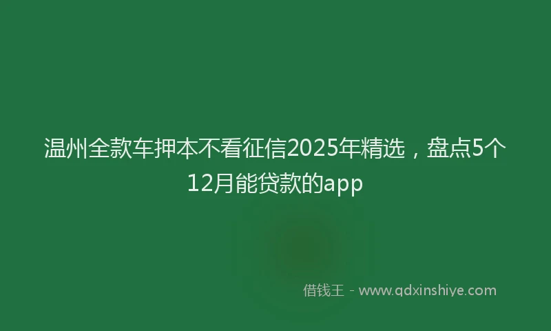 温州全款车押本不看征信2025年精选，盘点5个12月能贷款的app