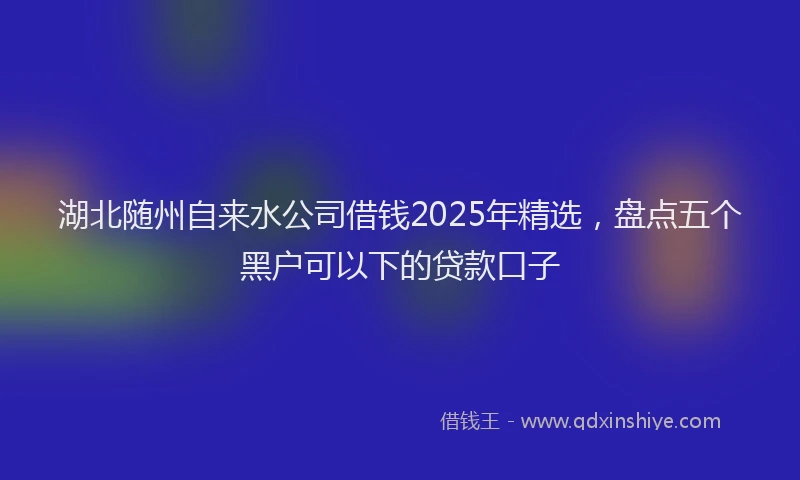 湖北随州自来水公司借钱2025年精选，盘点五个黑户可以下的贷款口子