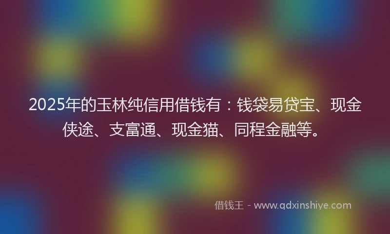 2025年的玉林纯信用借钱有：钱袋易贷宝、现金侠途、支富通、现金猫、同程金融等。