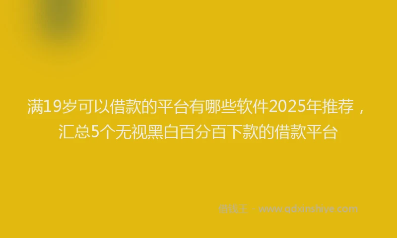 满19岁可以借款的平台有哪些软件2025年推荐，汇总5个无视黑白百分百下款的借款平台