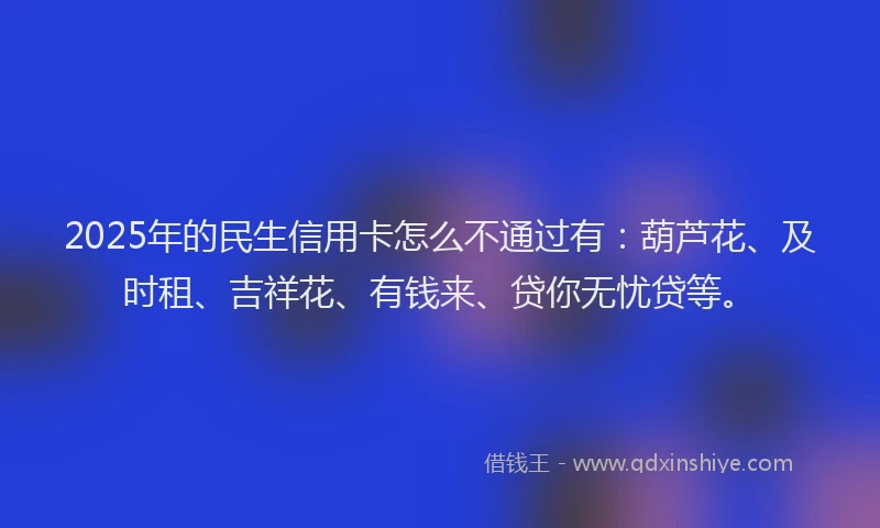 2025年的民生信用卡怎么不通过有：葫芦花、及时租、吉祥花、有钱来、贷你无忧贷等。