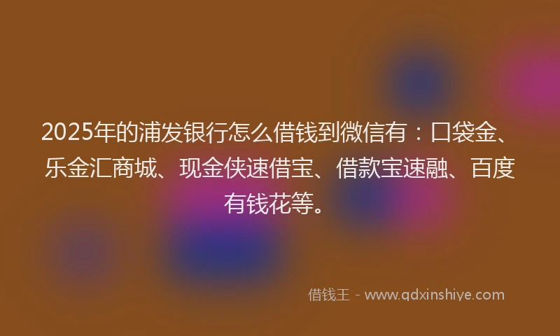 2025年的浦发银行怎么借钱到微信有：口袋金、乐金汇商城、现金侠速借宝、借款宝速融、百度有钱花等。